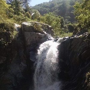 Meet your Posher, Mimi